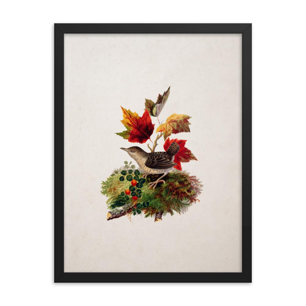 Zaunkönig - Poster im Rahmen schwarz / 30x41 cm artlia