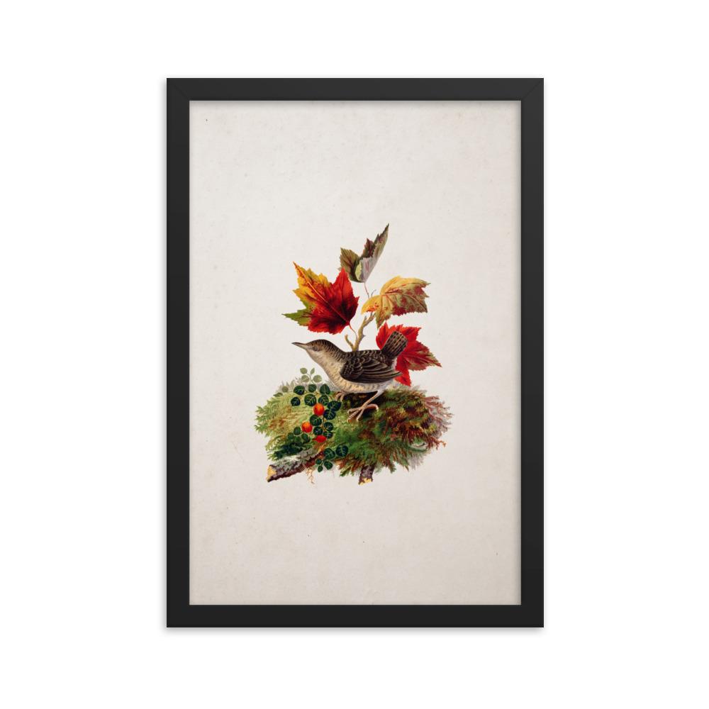 Zaunkönig - Poster im Rahmen schwarz / 30x45 cm artlia