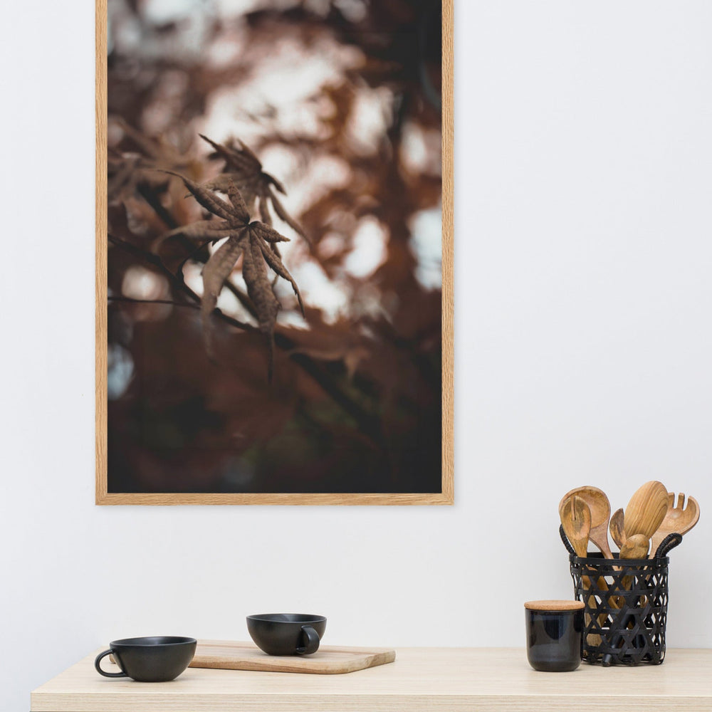 Poster - Autumn leaves - a moment in nature