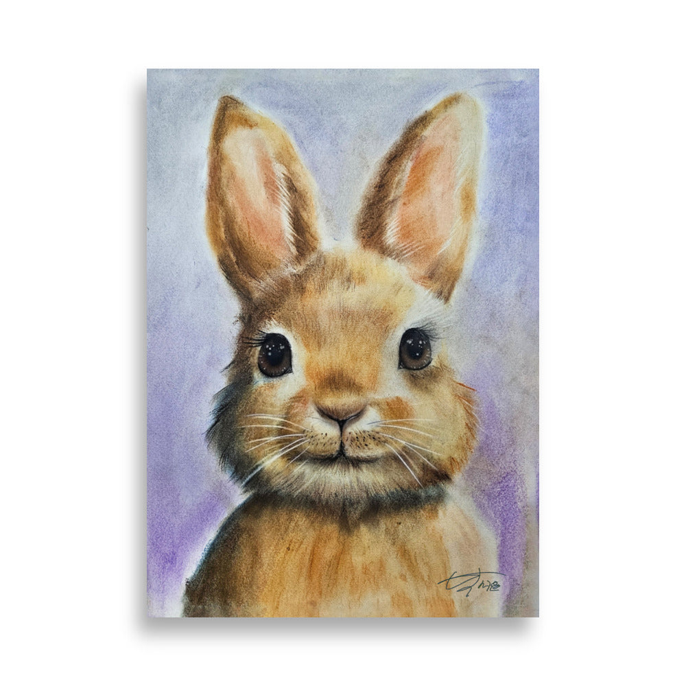 Poster - Rabbit&