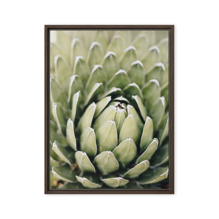 Leinwand - Cactus Flower II Kuratoren von artlia Braun / 46x61 cm (18″×24″) artlia