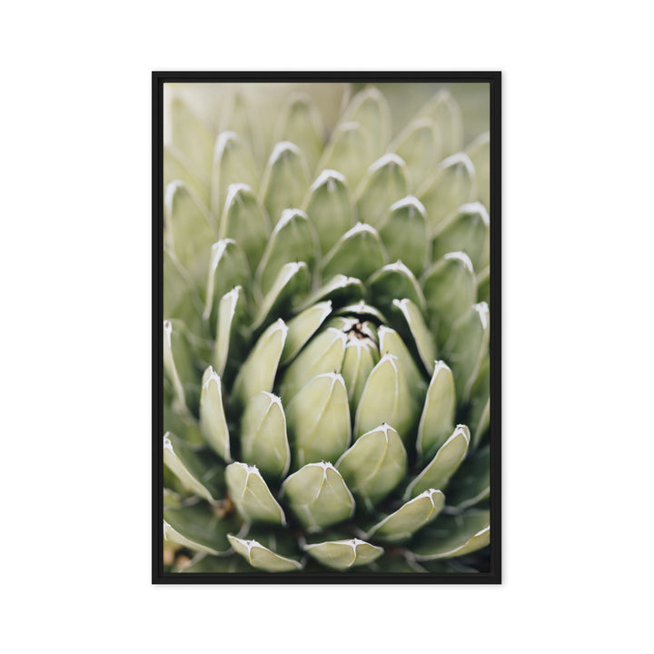 Leinwand - Cactus Flower II Kuratoren von artlia Schwarz / 61x91 cm (24″×36″) artlia