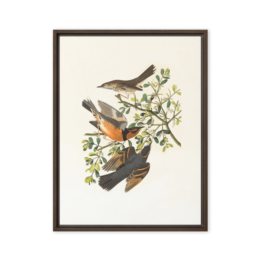 Leinwand - Drei Vögel auf Ästen Boston Public Library Braun / 46x61 cm (18″×24″) artlia
