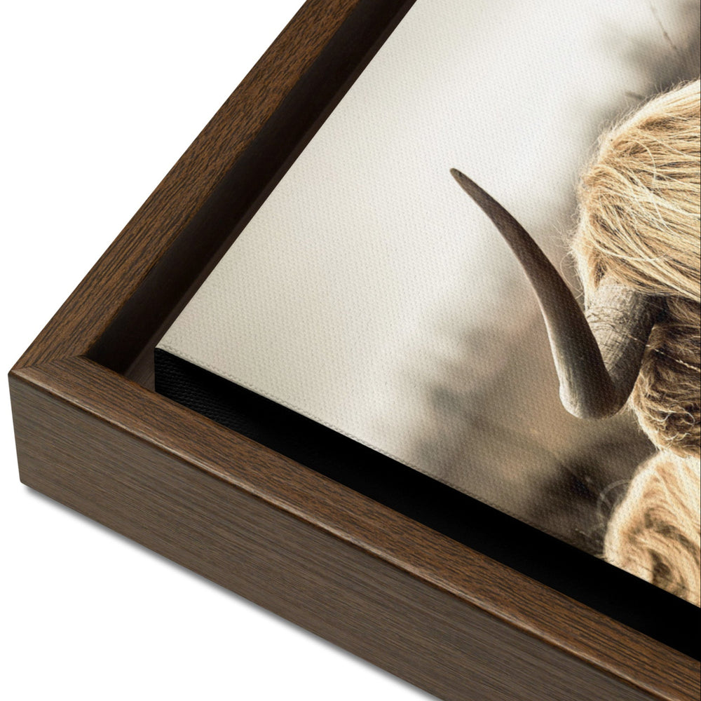 Leinwand - Highland Cattle Retro Kuratoren von artlia artlia