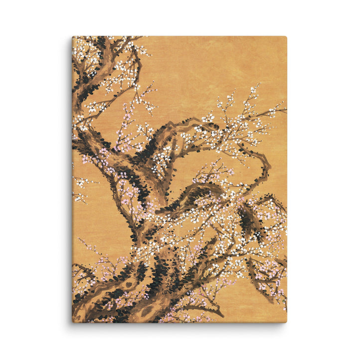 Leinwand - Rote und weiße Pflaumenblüten ohne Rahmen / Teil 2 / 46x61 cm (18″×24″) artlia