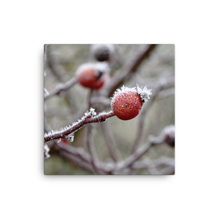 Leinwand - Winterbeeren II Kuratoren von artlia ohne Rahmen / 41x41 cm (16″×16″) artlia