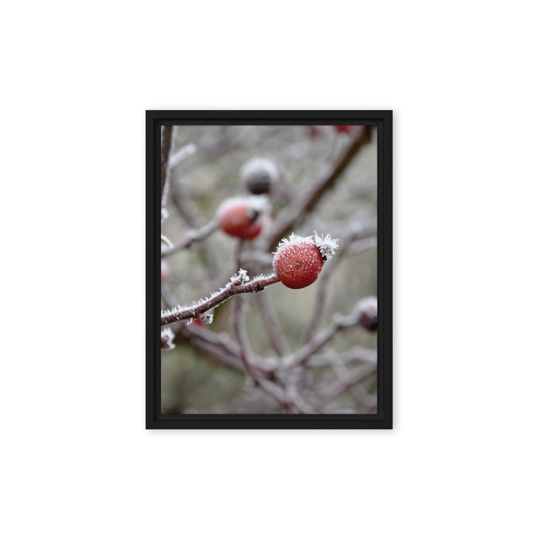 Leinwand - Winterbeeren II Kuratoren von artlia Schwarz / 31x41 cm (12″×16″) artlia