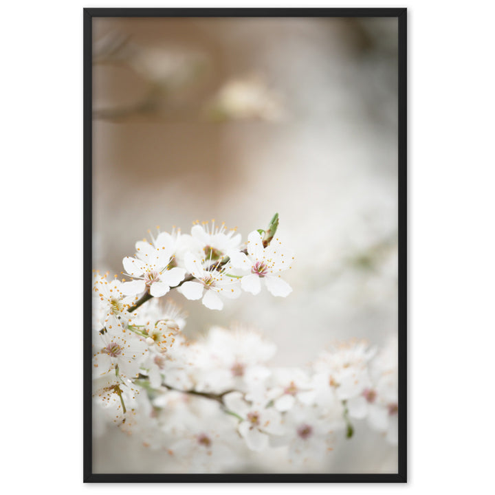 Poster - Kirschblüten Kuratoren von artlia Schwarz / 61×91 cm artlia