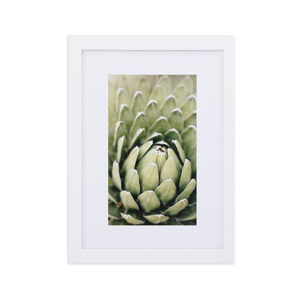 Poster mit Passepartout - Cactus Flower II Kuratoren von artlia Weiß / 21×30 cm artlia