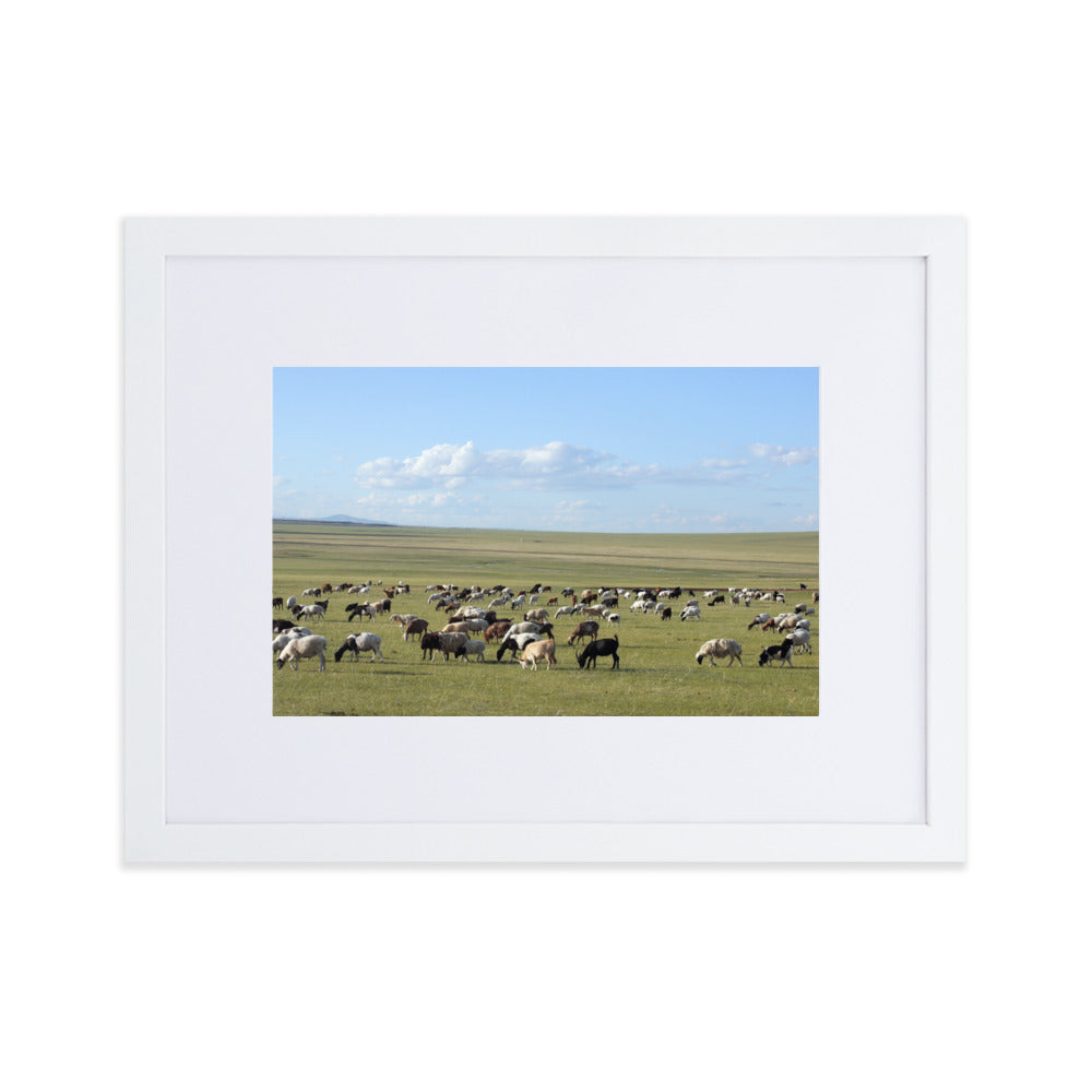 Poster mit Passepartout - Herd of sheep graze in Mongolian steppe Young Han Song Weiß / 30×40 cm artlia