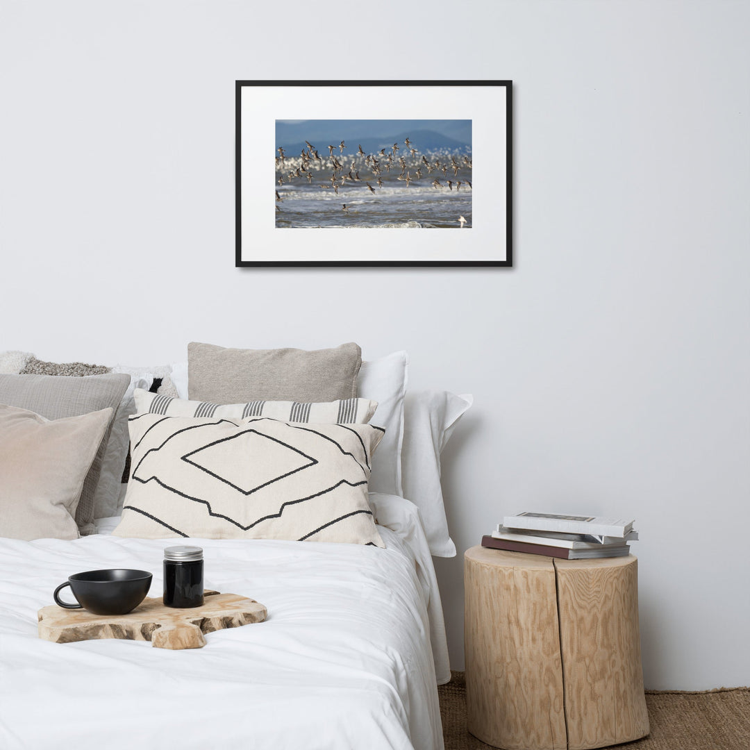 Poster mit Passepartout - Shorebirds Young Han Song artlia