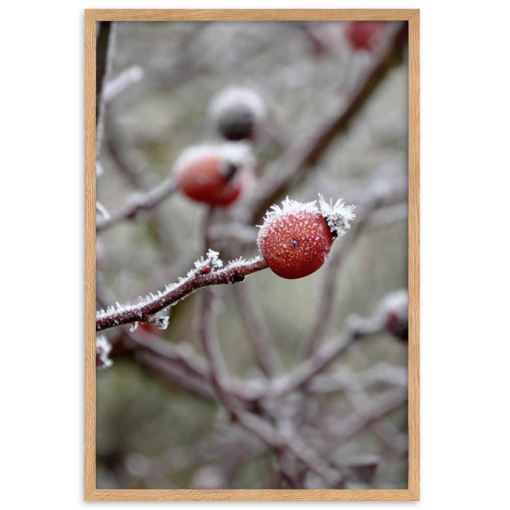 Poster - Winterbeeren II Kuratoren von artlia Oak / 61×91 cm artlia