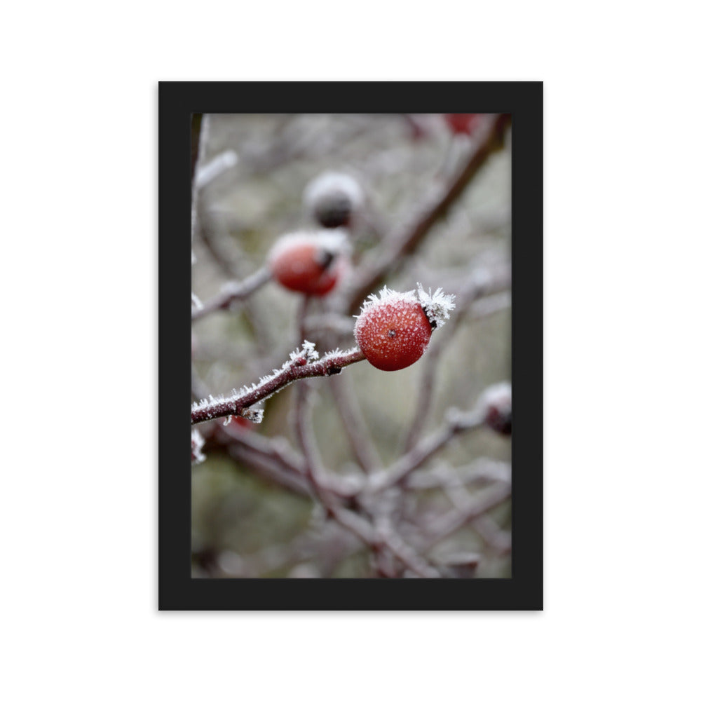 Poster - Winterbeeren II Kuratoren von artlia Schwarz / 21×30 cm artlia