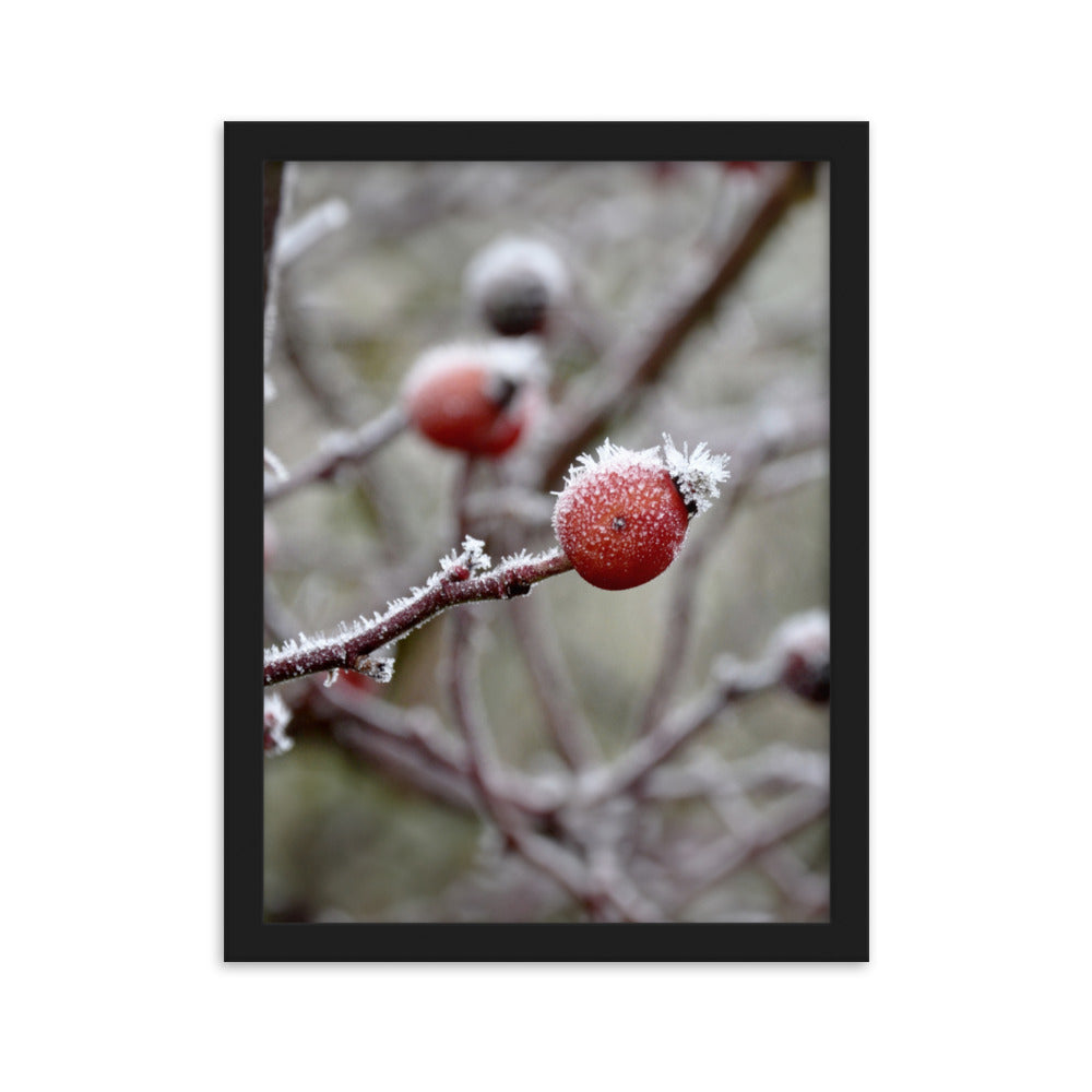 Poster - Winterbeeren II Kuratoren von artlia Schwarz / 30×40 cm artlia