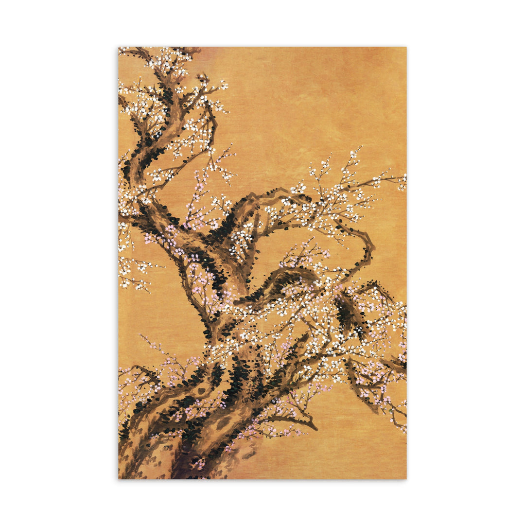 Postkarte - Rote und weiße Pflaumenblüten artlia