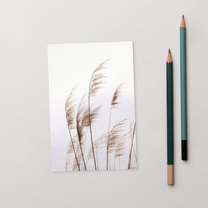 Schilf Reeds 01 - Postkarte ARTLIA artlia