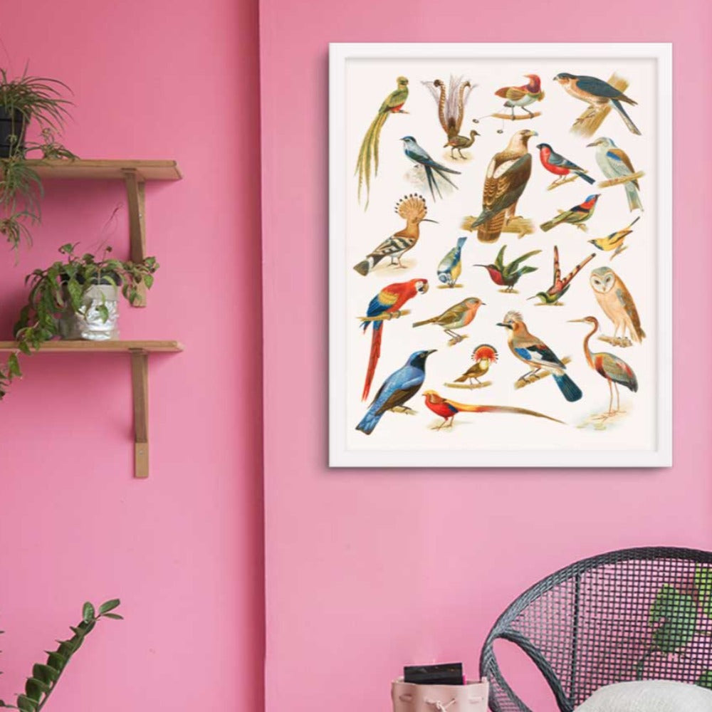 Bird Posters Room Wall | for Living & artlia Art