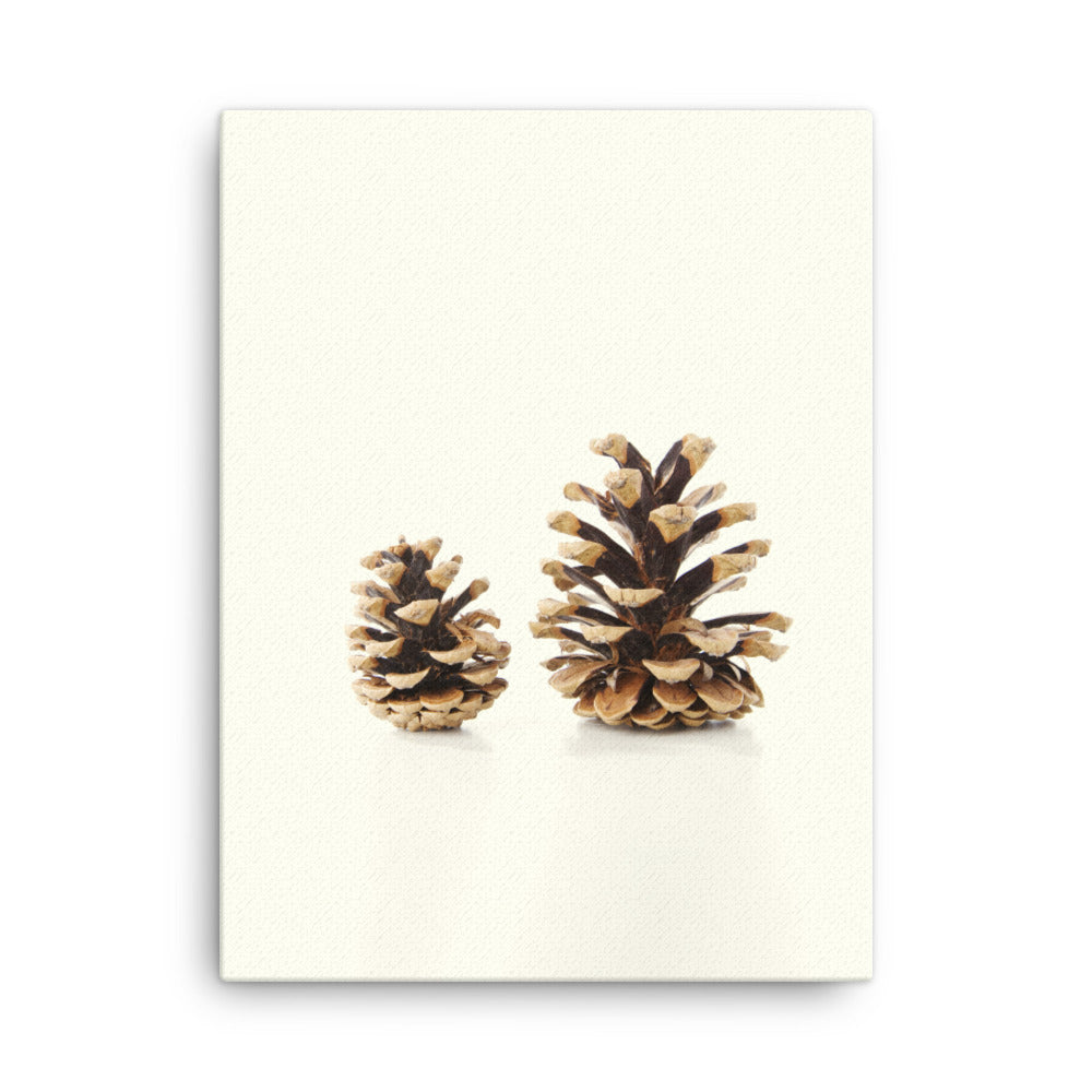 Pine Cone - Leinwand Kuratoren von artlia 30x41 cm artlia